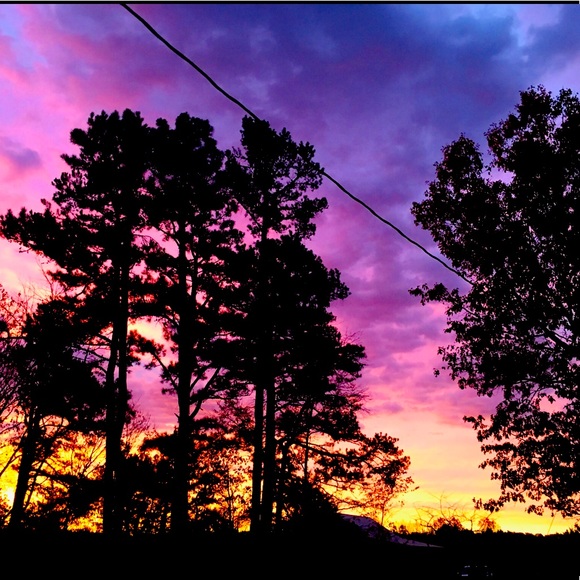 Meet your Posher, Whitney - Picture 2 of 13